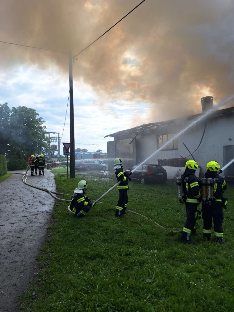 2025_07_17_Brand (08)