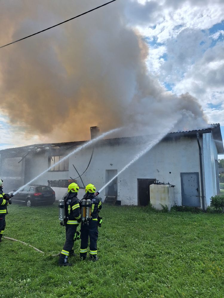 2025_07_17_Brand (10)